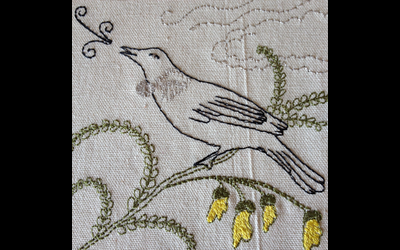 7birds in residence